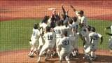 エース櫻井が9回1失点で完投!東北福祉大学が8-1で7年ぶり日本一!全日本大学野球選手権 | 宮城のニュース│tbc NEWS│tbc東北放送