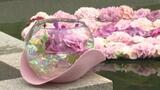 「花。花。花。で幸せな気持ち」 約10種類3000本の花が庭園を彩る『恋する庭園2024』がGWに開催中 愛媛・松山城二之丸史跡庭園 | 愛媛のニュース - Nスタえひめ|あいテレビは6チャンネル