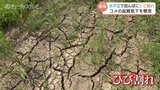 猛暑と水不足で「田んぼにひび」…コメ農家は「神頼み」の境地 深刻な爪痕にコメの出来を懸念 富山 | 富山のニュース|天気・防災|チューリップテレビ
