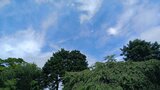 暖かく湿った空気が流れ込む~岩手県は5日にかけて大雨となるところも 気象台が災害への注意・警戒を呼びかけ | IBC NEWS | IBC岩手放送