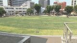ビル街に“緑のオアシス” 大分市の「若草公園」に1300平米の天然芝 工事完了、利用始まる | 大分のニュース|OBS NEWS|大分放送