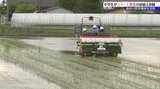 紫波三中 スマート農業田植え体験|TBS NEWS DIG