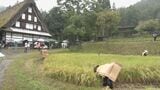 全国的に珍しい円形の田んぼ「車田」で雨の中稲刈り 岐阜県高山市の飛騨の里 | 名古屋・愛知・岐阜・三重のニュース【CBC news】 | CBC web
