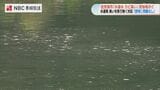 水道水「カビ臭い」苦情相次ぐ 原因は藻の異常繁殖か 長崎県佐世保市 | 長崎のニュース | 天気 | NBC長崎放送