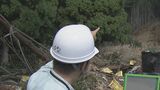 台風10号 5人死傷の土砂崩れはなぜ発生?気になる“伐採”との関係は?「崩れた一番上が皆伐されたエリアと一致」専門家が独自調査 愛知・蒲郡市|TBS NEWS DIG