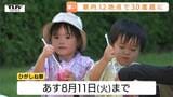 県内12地点で真夏日…厳しい暑さの中、夏の風物詩「ひがしね祭」スタート! 冷たいグルメや水遊びを楽しむ人の姿(山形)|TBS NEWS DIG
