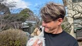 【 照英 】 新たな家族　生後2か月の愛犬「パピコ」を紹介　ペットロス乗り越え「ドッグファーストライフを楽しんで行きたいと思います」|TBS NEWS DIG