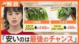 「安いのは最後のチャンス」春の陽気 野菜価格に影響は? 電気代“ステルス増税”4月使用分から【Nスタ解説】|TBS NEWS DIG