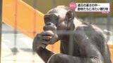 冷たくておいしいお中元 宮崎市の動物園で動物たちに氷詰めの果物をプレゼント | MRTニュース | MRT宮崎放送