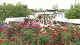 「大勢の中で踊るのは最高」福山ばら祭 開催　コロナ禍 乗り越え４年ぶりにパレード復活　広島　|　RCC NEWS | 広島ニュース | RCC中国放送
