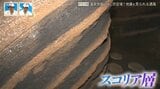 温泉旅館内に防空壕⁉ “地層”が間近で見られる道とは?静岡・伊豆半島「ジオパーク」にまつわる3つの道をたどる【道との遭遇】|TBS NEWS DIG