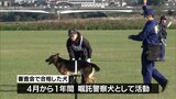 犯人や行方不明者などの捜索活動にあたる　嘱託警察犬の審査会|TBS NEWS DIG