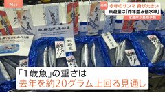 今年のサンマは去年より大きい？水産庁が長期予報を発表　漁獲量は低水準のまま| TBS CROSS DIG with Bloomberg