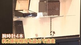 電動キックボードと徒歩で逃走後に2人が合流か　中野ブロードウェイでの高級腕時計窃盗事件　盗んだ時計の換金は「難しい」 海外に持ち出すケースも|TBS NEWS DIG
