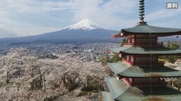「多すぎますね」富士山と五重塔望む公園で桜シーズン 展望デッキは最大3時間待ち オーバーツーリズム対策で祭り中止でも混雑 山梨・新倉山浅間公園|TBS NEWS DIG