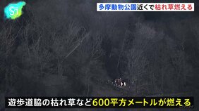 「枯れ草が燃えている」多摩動物公園の近くで枯れ草火災　多摩動物公園への被害なし|TBS NEWS DIG