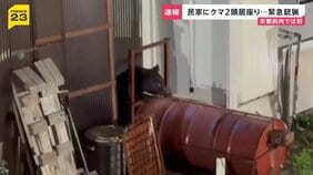 京都府内では初 民家にクマ居座り麻酔銃による緊急銃猟 親子とみられるツキノワグマ2頭 京都・舞鶴市|TBS NEWS DIG