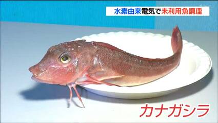 味は鶏肉に近い感じ。普通のガスでやる調理と変わらない」水素由来の 