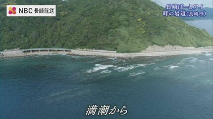 満潮から干潮へ風景一変 伊王島の畔の岩這【長崎ばーどアイ】 | 長崎の