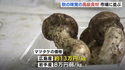 【10月28日午後採取】広島県産松茸　266グラム 広島県産のマツタケにはおよそ13万円の値が マツタケシーズン到来 広島