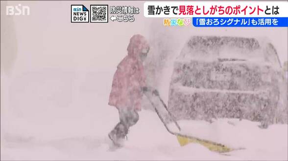 【大雪】除雪で見落としがちな“場所”は？知っておきたい『雪おろシグナル』重要なのは積雪の“重さ” 疲労にも注意！　|　新潟のニュース・天気｜BSN NEWS｜BSN新潟放送