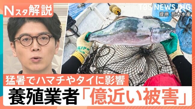 「イカは高級品になりすぎた」猛暑で“海の幸”の商売に異変　スルメイカ不漁もさきいか乾燥機で“新名物”誕生【Nスタ解説】|TBS NEWS DIG