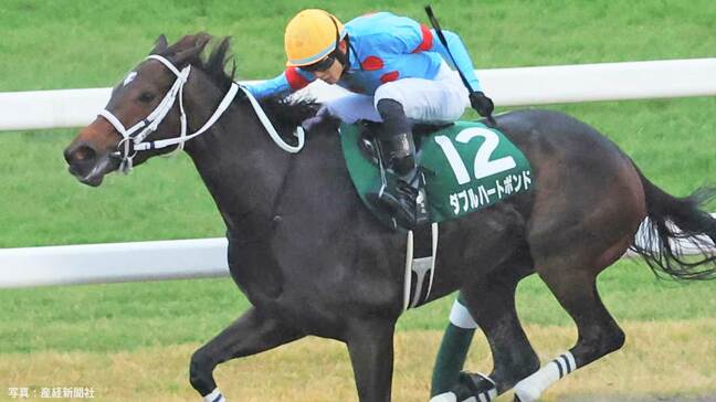 ダブルハートボンド、チャンピオンズカップ制す ! ウィルソンテソーロとの大接戦を写真判定で勝利【競馬 GI】|TBS NEWS DIG