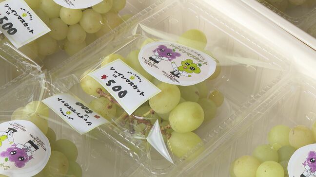 20分余りで売り切れ　児童が育てたシャインマスカット販売　果物栽培盛んな地区の魅力発信|TBS NEWS DIG