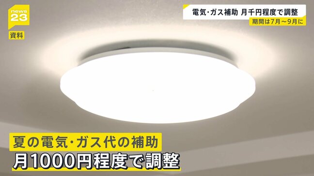 家計負担の軽減へ　政府、夏の電気・ガス代補助“月1000円程度”で調整　7月～9月にかけ補助金支給|TBS NEWS DIG