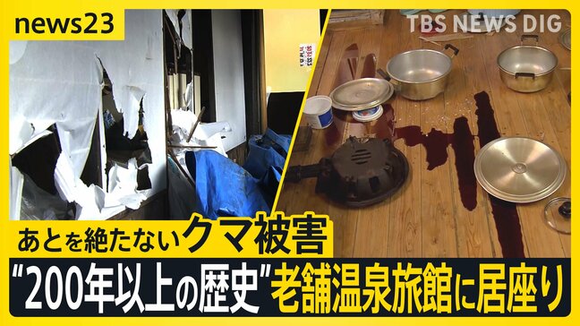 あとを絶たないクマ被害 “200年以上の歴史”老舗温泉旅館にクマ居座り 「寝ている部屋の前に…」経営者家族が語る緊迫の一夜【news23】|TBS NEWS DIG