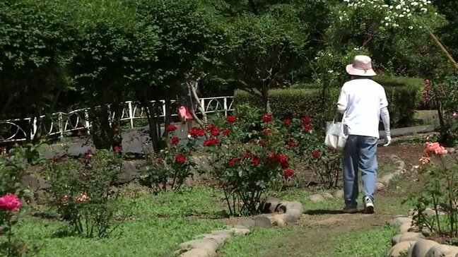 16日の岩手県内は晴れで暑い一日 真夏日となるところがある見込み|TBS NEWS DIG