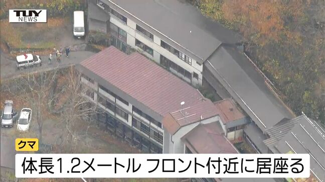 【動画】現場には経営者の家族3人が...温泉旅館に居座ったクマを "緊急銃猟" で駆除（山形）　|TBS NEWS DIG