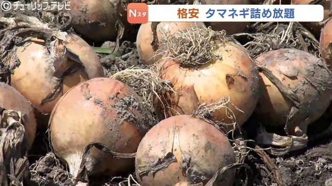 物価高にうれしい1袋2500円　富山市の農家がタマネギ詰め放題　袋からはみ出してもセーフ「カレー、シチュー毎日タマネギ料理に」　　|TBS NEWS DIG