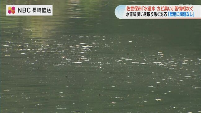 水道水「カビ臭い」苦情相次ぐ 原因は藻の異常繁殖か 長崎県佐世保市|TBS NEWS DIG