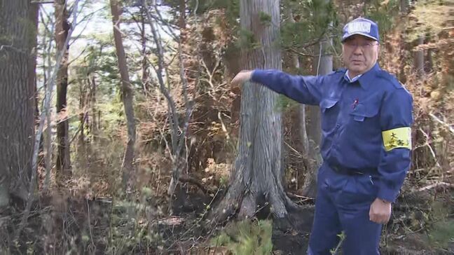 山林火災発生から11日目　平野町長らが現場視察　岩手・大槌町|TBS NEWS DIG