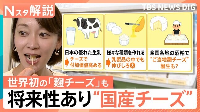 酪農家を救う?将来性ありの国産チーズ 背景に農水省“103億円プロジェクト”【Nスタ解説】|TBS NEWS DIG