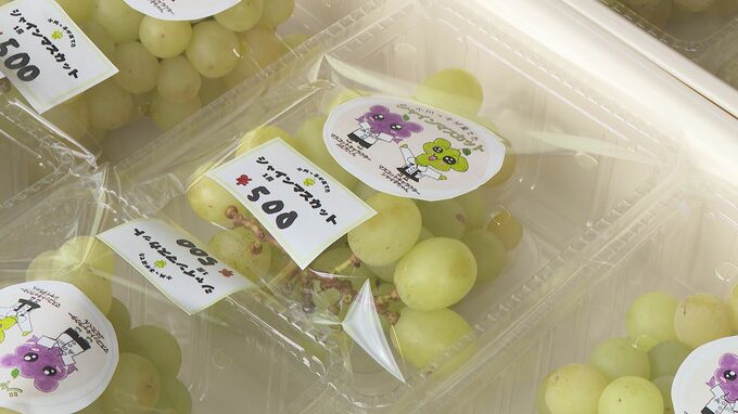 20分余りで売り切れ　児童が育てたシャインマスカット販売　果物栽培盛んな地区の魅力発信|TBS NEWS DIG
