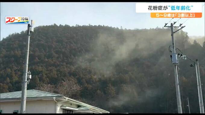 「30%以上が花粉症にり患していると言われています」花粉症の“低年齢化”が進む3歳で発症するケースも　その要因は…　|　宮城のニュース│tbc NEWS│tbc東北放送