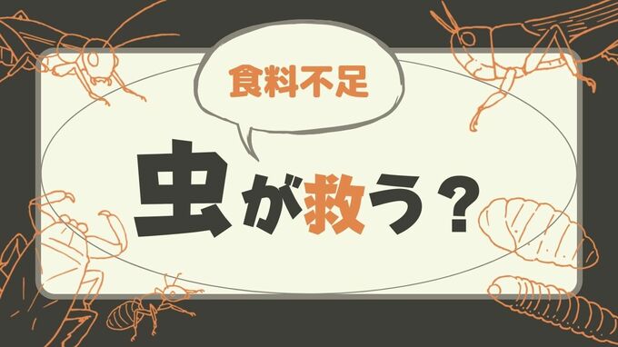 新感覚「昆虫食」恐る恐る…でもおいしい！　福岡市のデパートで販売　　|　福岡のニュース｜RKB NEWS｜RKB毎日放送