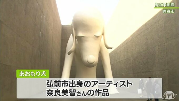 涙跡も消えた!!美白取り戻した「あおもり犬（けん）」23日から公開　青森県立美術館|TBS NEWS DIG