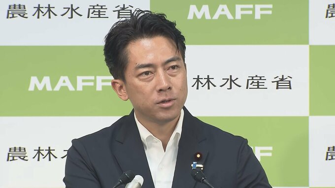 小泉農水大臣「さらに増産という結果に」主食用のコメの生産量が去年から56万トン増える見込み