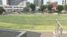 ビル街に“緑のオアシス” 大分市の「若草公園」に1300平米の天然芝　工事完了、利用始まる　|　大分のニュース｜OBS NEWS｜大分放送